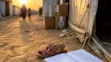Gaza : une frappe sur un camp de déplacés fait trois morts, dont une fillette